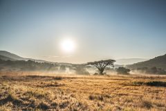Wilderness Serenity