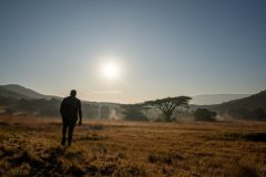 Safari Solitude