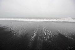 Whispers of the Tide