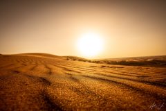 Golden Dunes of Dubai
