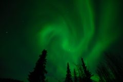 Dancing Lights of Wiseman
