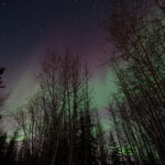 The Third Time’s the Charm: A Miami Boy’s Northern Lights Adventure in Alaska