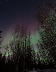 Read more about the article The Third Time’s the Charm: A Miami Boy’s Northern Lights Adventure in Alaska